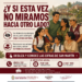 Portada del carrusel sobre 2 409 denuncias por violencia registradas en San Martín durante el primer semestre de 2026.